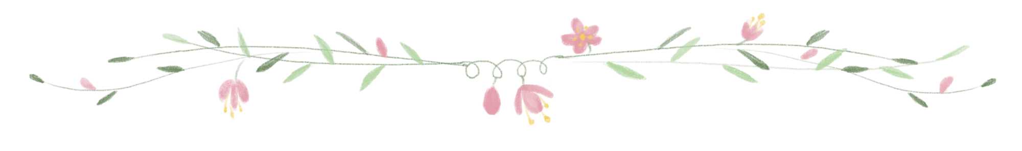 Keuken Set Winkel 17 Keuken Set Winkel -Keuken Set Winkel —Pngtree—cartoon flower dividing line illustration 4576206